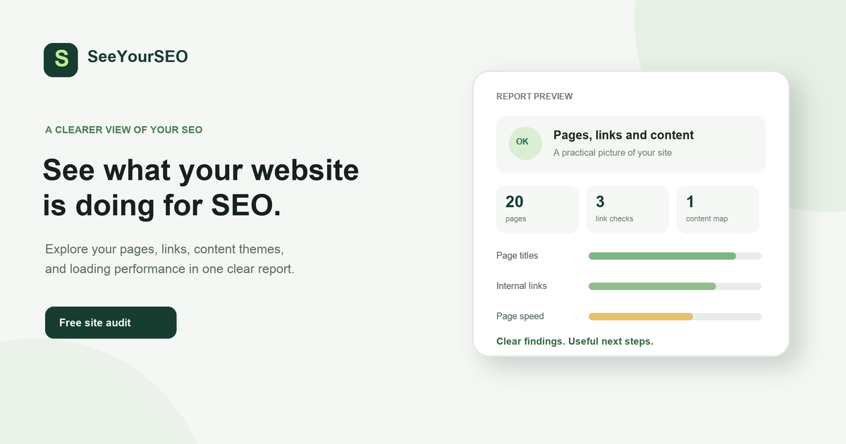 I built SeeYourSEO to make website audits easier to understand—what would make the report more use